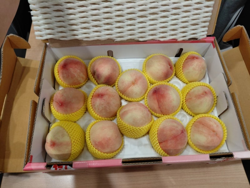 가슴거상수술 환자분이 보내주신 달콤한 복숭아 