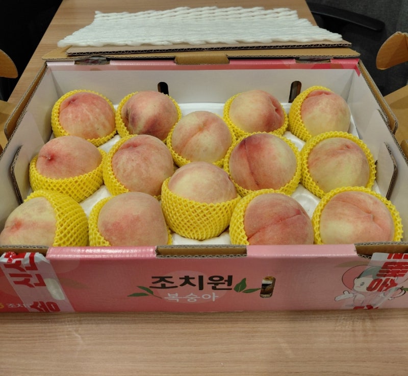 가슴거상수술 환자분이 보내주신 달콤한 복숭아