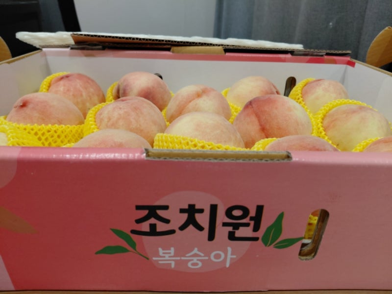 가슴거상수술 환자분이 보내주신 달콤한 복숭아 사진 3